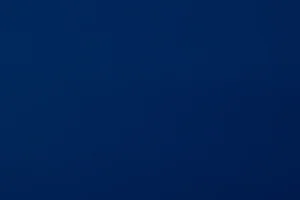 VINYTOL 307 NVO FR - 4461/F1/S101