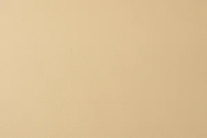 VINYTOL 801 N SPECIÁL - S168/RU1/R00/6016
